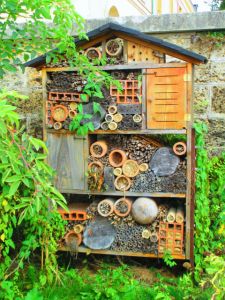 An insect hotel