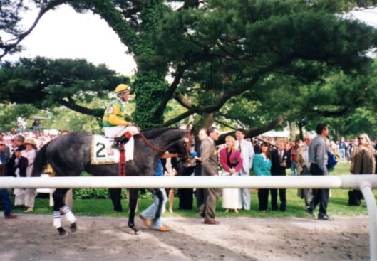 Silver Charm in the paddock prior to the 1997 Belmont Stakes